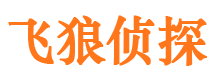 旬阳外遇出轨调查取证